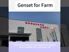 Motor Yangdong 48KW 60KVA Gerador Diesel Silencioso Para A Fazenda Doméstica