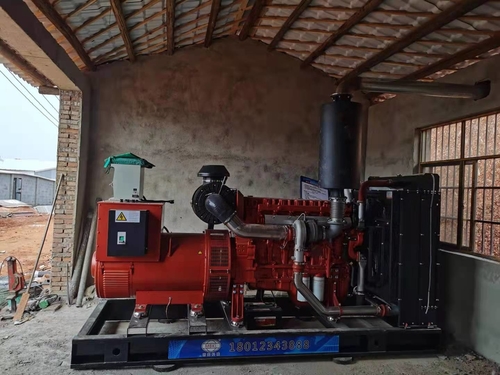 Últimos blogs da empresa sobre O grupo de gerador 400KW diesel seja instalado na fábrica do cultivo de aves domésticas